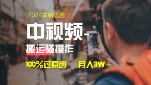 中视频新理念,双向去重复100%过原创设计,一键分发全平台转现,简易没脑子,日…-创业资源网