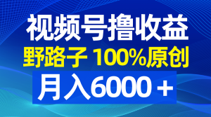 微信视频号歪门邪道撸盈利,100%原创设计,一条条爆品,月收入6000+-创业资源网