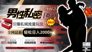 各大网站全新男性私密跑道游戏玩法,点爆私域流量池,轻轻松松日入2000-创业资源网