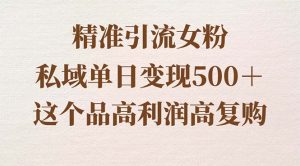 精准引流方法女友粉，公域单日转现500＋，高成本低回购，家庭保姆级实际操作软件教程-创业资源网