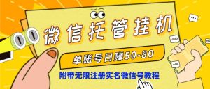 微信托管放置挂机,运单号日赚50-80,新项目使用方便-创业资源网