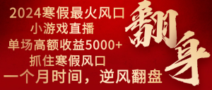 2024年最红假期蓝海项目 小游戏直播 场均盈利5000 把握住出风口 一个月立即拿车-创业资源网