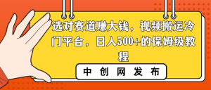 选好跑道挣大钱,视频搬运小众服务平台,日入500 的阿姨级实例教程-创业资源网