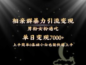 独家首发相亲群暴力行为引流方法粉丝女友粉同吃转现游戏玩法,单日转现7000 家庭保姆课堂教学1.0-创业资源网