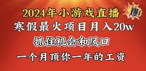 2024年假期爆红新项目,小游戏直播月入20w ,懂得了以后我们将翻盘-创业资源网