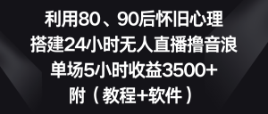 运用80、90后复古心理状态,构建24钟头无人直播撸抖币,场均5钟头盈利3500 …-创业资源网