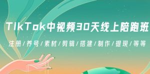 TikTok中视频-30天线上陪跑班:注册/养号/素材/剪辑/搭建/制作/提现/等等-创业资源网