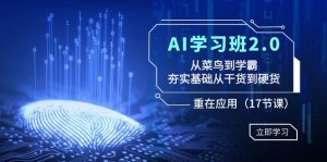 AI学习班2.0:从菜鸟到学霸,夯实基础从干货到硬货,重在应用-创业资源网