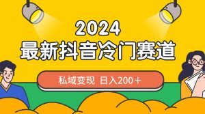 2024抖音最新小众跑道，私域变现轻轻松松日赚200＋，著作制作简单，总流量发生爆炸-创业资源网