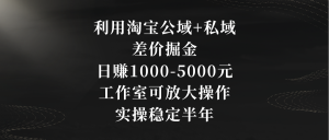 运用淘宝网公域流量 公域价格差掘金队,日赚1000-5000元,个人工作室可变大实际操作,实际操作…-创业资源网