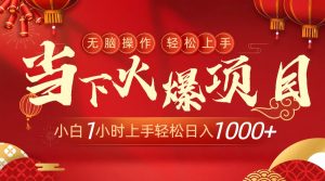 时下受欢迎新项目,使用方便,新手只需1钟头快速上手日入1000-创业资源网