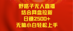 无人直播歪门邪道融合百度云盘引流,日赚2500 全平台转现,新手没脑子快速上手实际操作-创业资源网