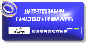 拼多多复制黏贴日引300 付钱自主创业粉，当韭菜割月转现六位数全新实例教程！-创业资源网