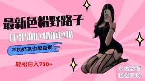 全新颜料转现歪门邪道,日引500 老色批 可不加好友立即转现 新手轻轻松松日入700-创业资源网
