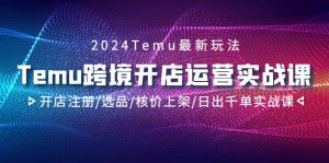 2024Temu跨境开店运营实战课,开店注册/选品/核价上架/日出千单实战课-创业资源网