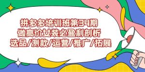 拼多多培训班第34期：做高价位品牌女装必赢利分析  选款/选款/经营/营销推广/扩展-创业资源网
