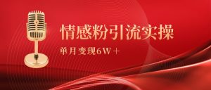 单月变现6w+,情感粉引流变现实操课-创业资源网
