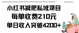 小红书的减肥瘦身公域新项目每一单收费标准210元单日交易量20单,最大日入4200-创业资源网