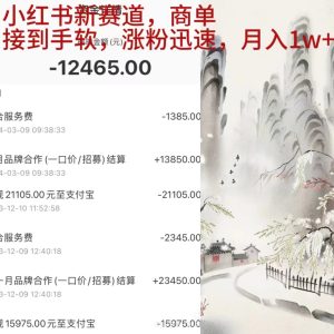 小红书新赛道,商单接到手软,涨粉迅速,月入1w+-创业资源网