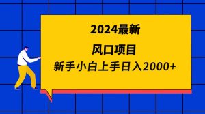 2024全新蓝海项目 新手入门日入2000-创业资源网