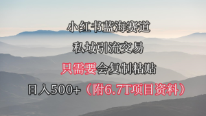 小红书的短剧剧本跑道,私域引流买卖,会拷贝,日入500-创业资源网