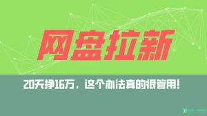 百度云盘引流 公域自动式游戏玩法,0粉养号,小白可做,当日见盈利,已测单日破5000-创业资源网