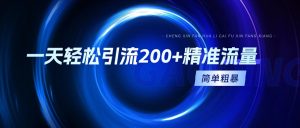 一天轻轻松松引流方法200 精准流量人群,简单直接,一看就会-创业资源网