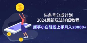 今日头条号分为方案：2024全新游戏玩法详尽实例教程，新手入门快速上手月入20000-创业资源网
