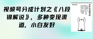 微信视频号分为方案之《八段锦解说》,多种多样变现渠道,新手友善-创业资源网