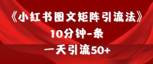 《小红书图文矩阵引流法》 10min-条 ,一天引流方法50-创业资源网