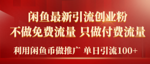 2024年闲鱼币推广引流创业粉,不做免费流量,只做付费流量,单日引流100+-创业资源网