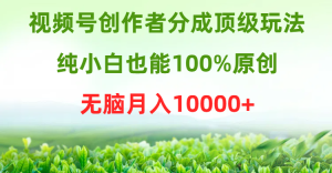 微信视频号原创者分为顶尖游戏玩法,纯小白也可以100%原创设计,没脑子月收入10000-创业资源网