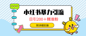 小红书的暴力行为引流方法秘笈,日引200+精准粉,一键精准推送数万人,附详尽实际操作-创业资源网
