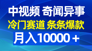 中视频奇闻怪事,小众跑道一条条爆品,月入10000+-创业资源网
