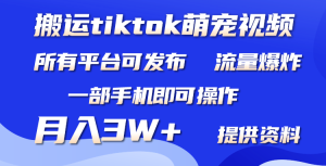 运送Tiktok萌宝类视频，一部手机就可以。全部短视频app都可实际操作，月入3W-创业资源网