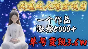 天选之人炼金项目,一个作品涨粉5000+,单号变现3.6w-创业资源网