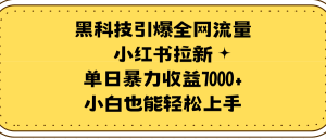 高科技点爆各大网站总流量小红书的引流,单日暴力行为盈利7000 ,新手也可以快速上手-创业资源网