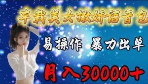 车载式女生撒娇语音库,易上手,暴力行为开单,月入30000-创业资源网