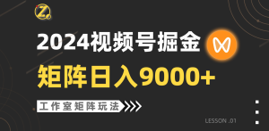 【蓝海项目】2024微信视频号自然流卖货,个人工作室落地式游戏玩法,单独直播房间日入9000-创业资源网