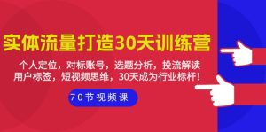 实体线-总流量打造出-30天夏令营:个人定位,对比账户,论文选题剖析,投流讲解-70节-创业资源网