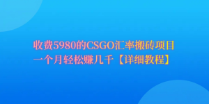 CSGO武器装备打金,月综合收益率达到60%,你就可以!-创业资源网