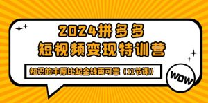 2024拼多多平台短视频变现夏令营,知识丰富相比钱财更有保障-创业资源网