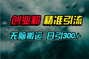 微信视频号纯运送日引300 自主创业粉实例教程!-创业资源网