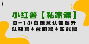 小红书【私人课】0-1轻松玩小红书的内容运营,认知能力篇 营销推广篇 实战篇-创业资源网