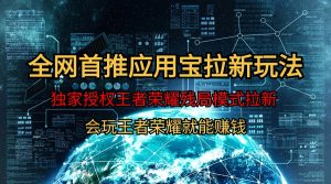 【独家首发】腾讯应用宝腾讯王者荣耀残棋方式拉新生态,轻轻松松日如1000-创业资源网