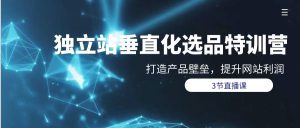 自建站-垂直领域选款夏令营,打造出产品壁垒,提升关键词盈利-创业资源网