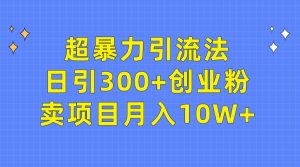 超暴力引流法,日引300+创业粉,卖项目月入10W+-创业资源网