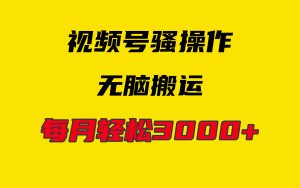 4月新视频号没脑子爆品游戏玩法,放置挂机纯运送,每日轻轻松松3000-创业资源网
