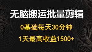 每日30min，0基本没脑子运送大批量视频剪辑，1天最大盈利1500-创业资源网
