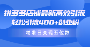 拼多多商家全新高效率引流术,轻轻松松引流方法400 自主创业粉,精确日转现五位数!-创业资源网